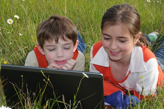 a pigeon pair lie on a green grass among the field colors and look in the screen of notebook