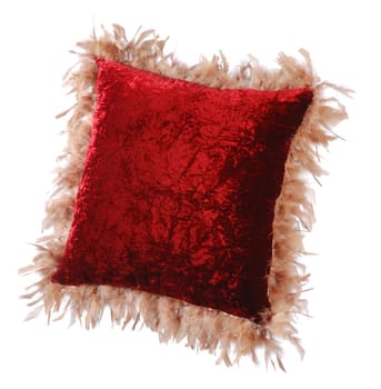 red sofa pillow with a velvet cover, mounted light feathers