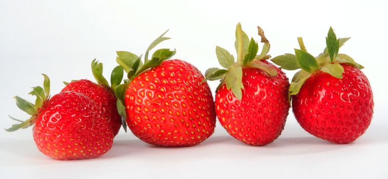 Ripe berries of a strawberry on a white sheet