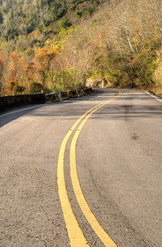 Autumn road with forest and tree in outdoor.