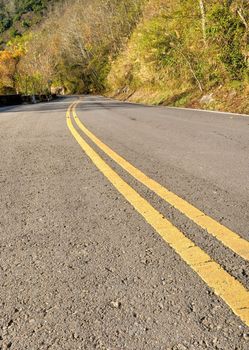 Autumn street with yellow traffic line in outdoor.