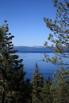 View of Nevada Lake Tahoe through pine trees.