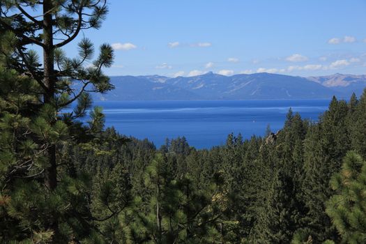 View of Nevada Lake Tahoe through pine trees.