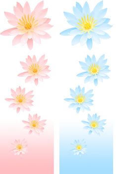 Pink and blue lily decor