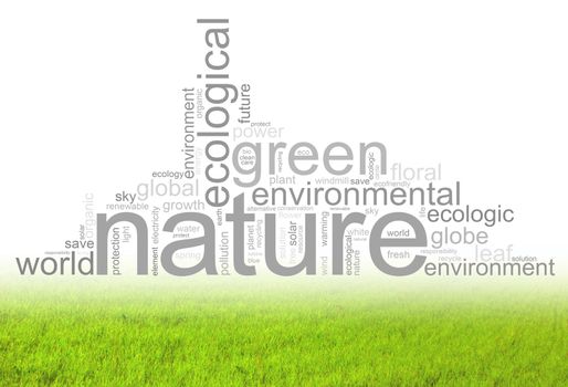 Illustration with many different terms like natur, environment or future