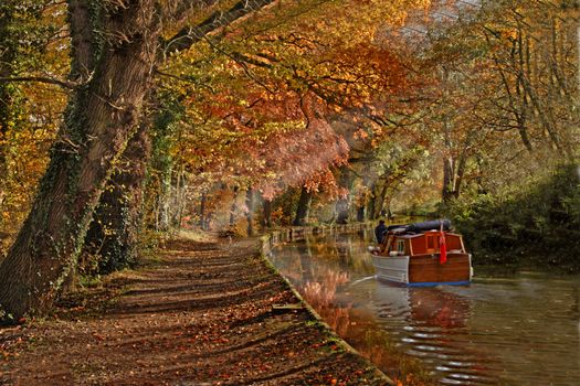 Autumn colour along by the Shropshire Union Canal, England.