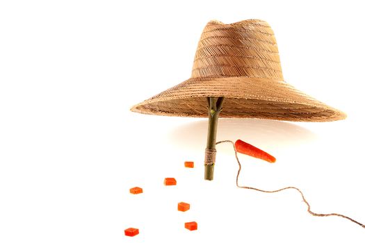 The trap is made of a straw hat, as a bait a carrot.