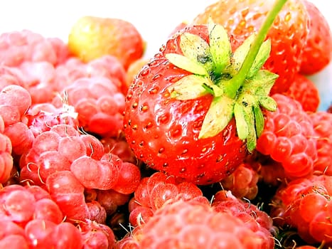 One strawberries ripe berries against a backdrop of a few berries raspberries