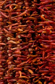 Strings of red Chillies at Turgutreis Market in Bodrum, Turkey