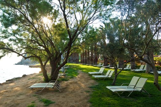 Shaded beach with chaise lounge chairs at luxurious hotel