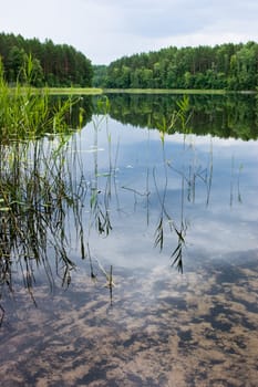 Morning on the quiet forest lake