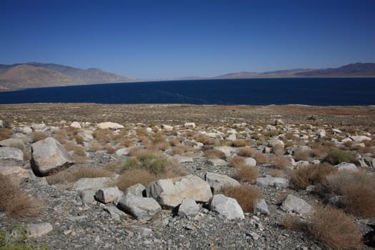 Walker Lake, a large freshwater desert lake in Nevada