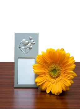 blank photo frame and yellow flower on  white