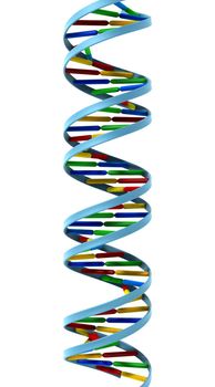 rendered DNA helix isolated on white. High resolution.