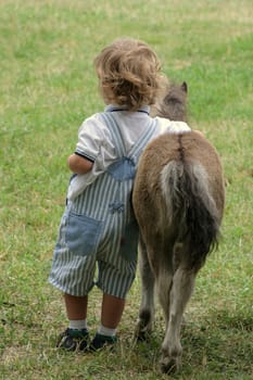 the child is making friends with the pony