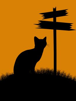 A  black halloween illustration silhouette on an orange background