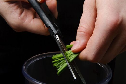 Cutting wheat with scissors