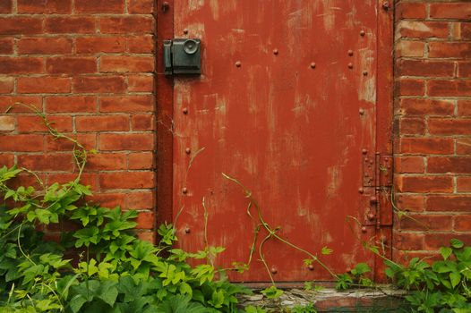 Abstract Vintage Red Door, Brick Wall and Green Vines.