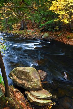 Fall river landscape with colorful autumn trees. Algonquin provincial park, Canada.