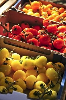 Colorful tomatoes for sale on farmer's market