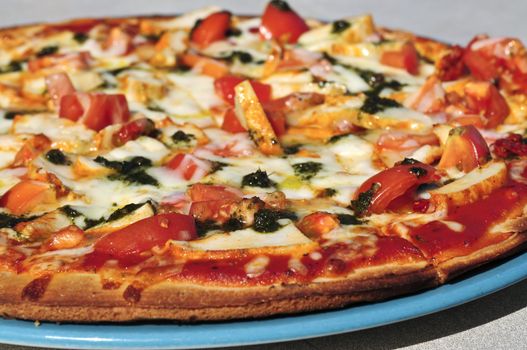 Freshly baked mediterranean pizza served on a plate