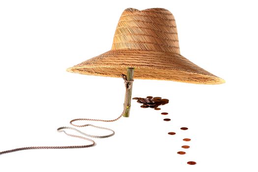 The trap is made their straw hat, as a coin bait on a white background.