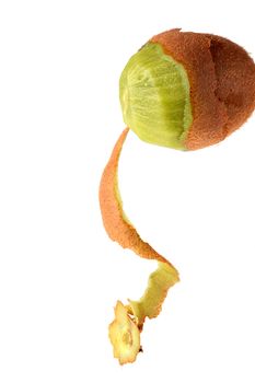 Tropical fruit kiwi in the course of its clearing of a peel.