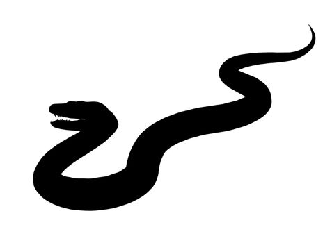 Black snake art illustration silhouette on a white background