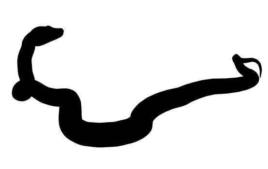 Black snake art illustration silhouette on a white background