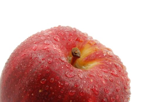 fresh red apple with water drops isolated on white background