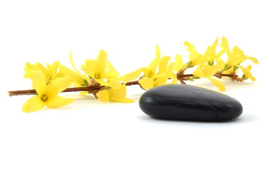 wellness still life with flowers showing zen concept