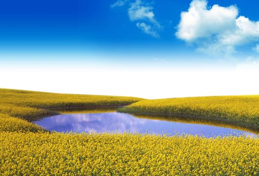 A lake which is surrounded with yellow flower
