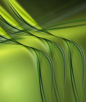 Green fractal