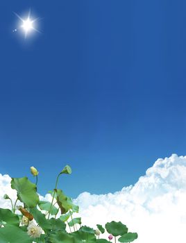 Green fresh plants with blue sky background
