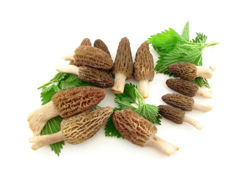 Morel mushrooms and nettles isolated over white, concept of diet and healthy food.