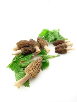 Morel mushrooms and nettles isolated over white, concept of diet and healthy food.
