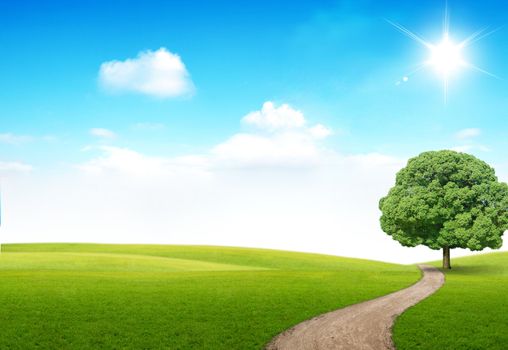 The long path and a tree on the blue sky background