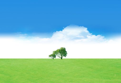 Two trees in the field on summer background