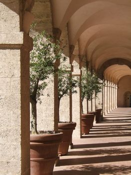 Olive trees on arched architecture in the landmark monument "La Vieille Charité" (The Old Charity) in Marseille city in the south of France