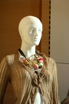 Mannequin in a store