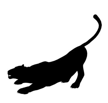 Black panther art illustration silhouette on a white background