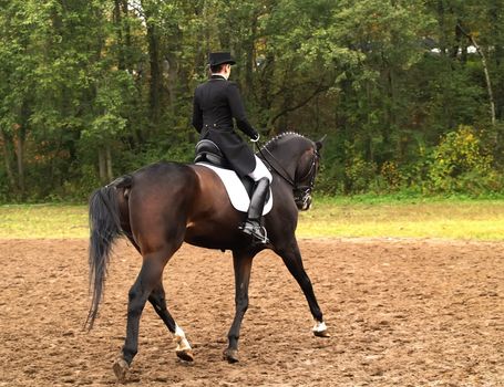 Girl on horse in a dressage competition.