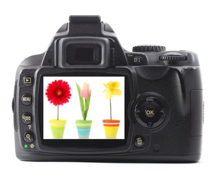 dslr with summer flower isolated on white background