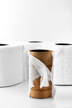 Exausted toilet paper roll with other rolls in the background with shallow depth of field