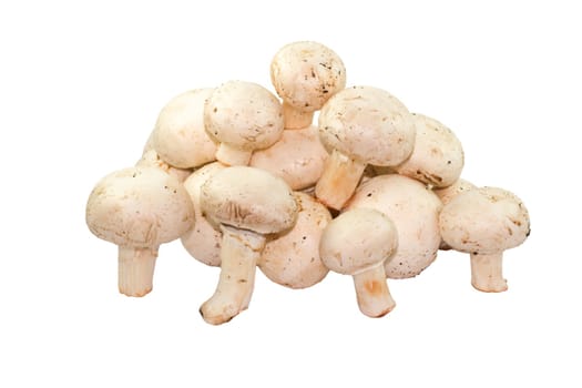 Button Mushrooms Isolated on a White Background
