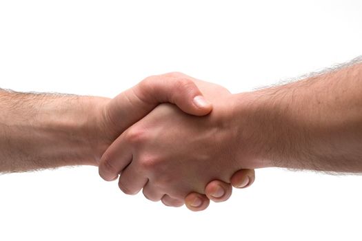 Handshake on white background