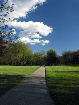 Path  and meadow in a park 