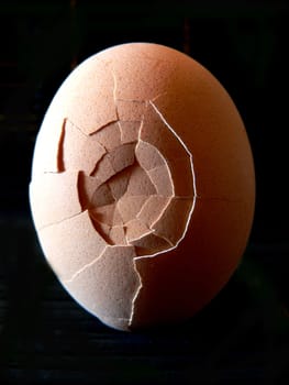a broken egg close up