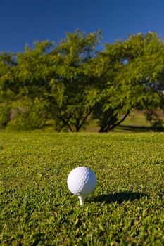 Golf ball on tee in golf field, with trees ahead. Focus on the ball.