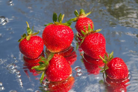 The first ripened strawberry on a background of the blue sky